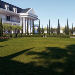 alrayan الريان