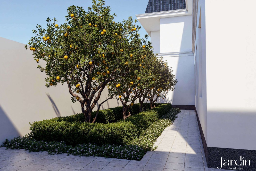 alrayan الريان