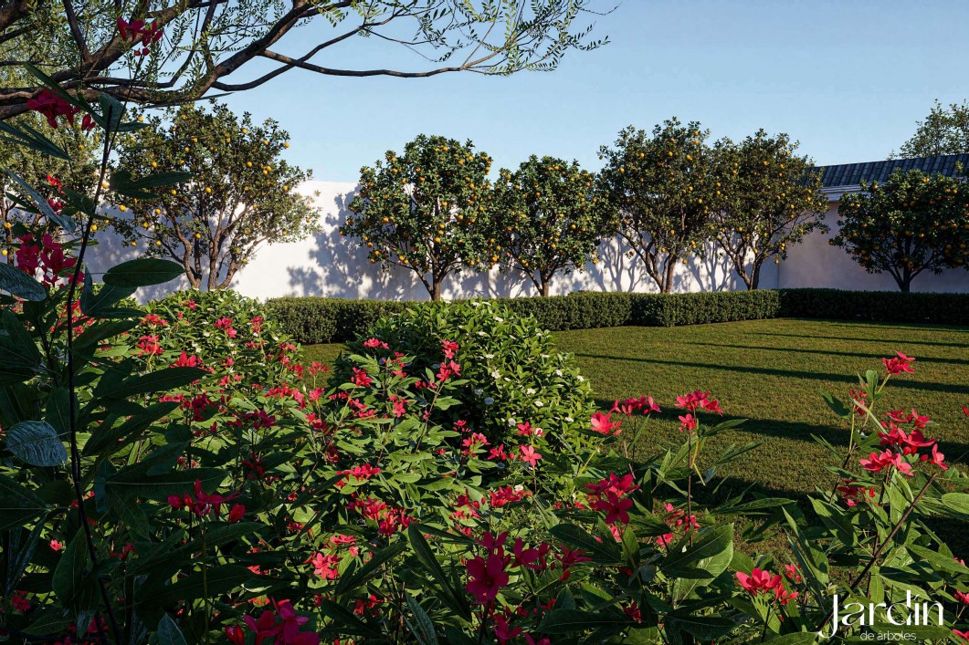 alrayan الريان