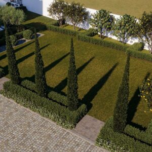 alrayan الريان